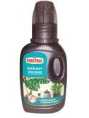 Nawóz Substral SS Rośliny Zielone 0,25l