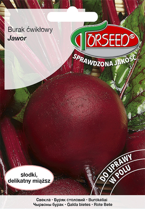 Burak ćw.Jawor 15g Burak ćw.Jawor 15g