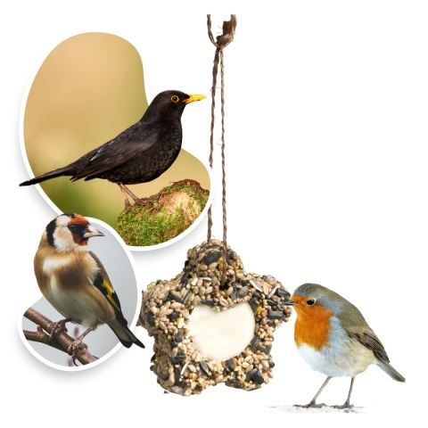 Gwiazdka mix ziaren zawieszka 160g