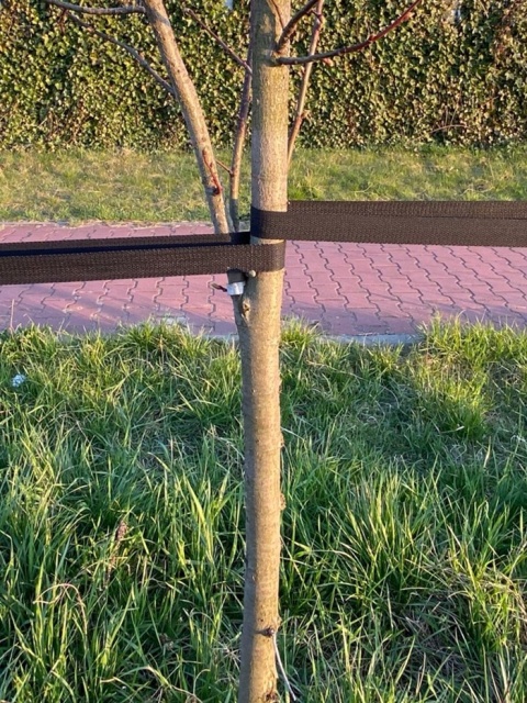 Taśma nośna(czarna) 25mm x50m